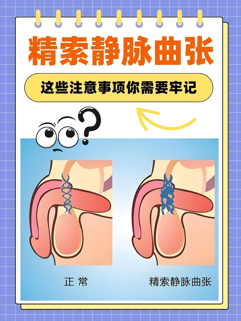 683e9eb089e36.png